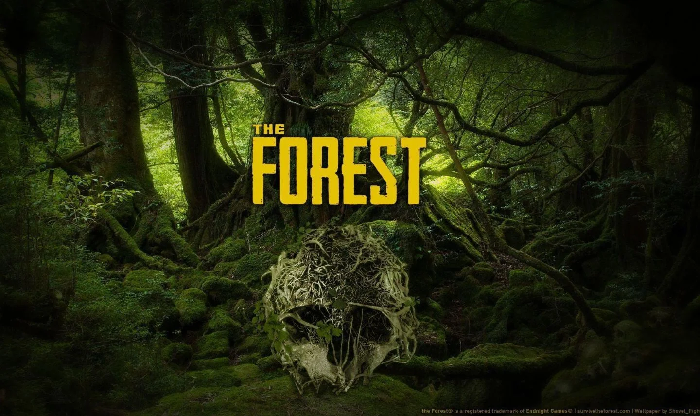 THE FOREST